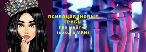 гашик Тайга
