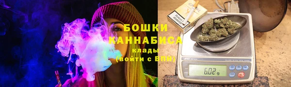 гашик Тайга