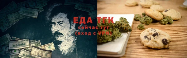 гашик Тайга