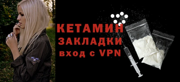 гашик Тайга
