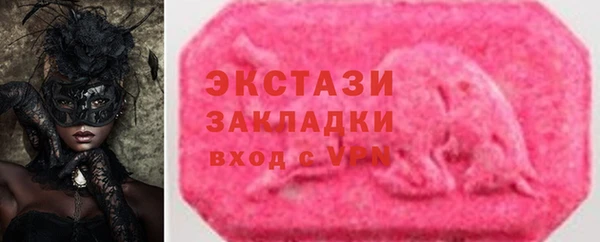 гашик Тайга