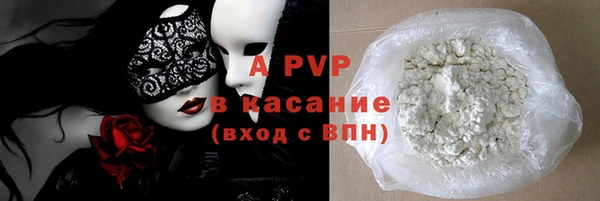 гашик Тайга