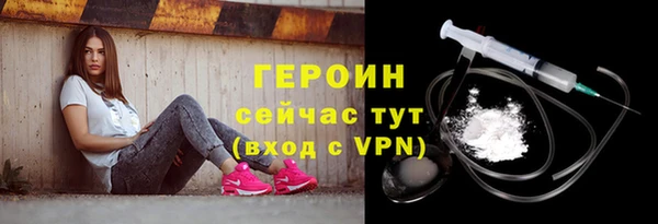 гашик Тайга
