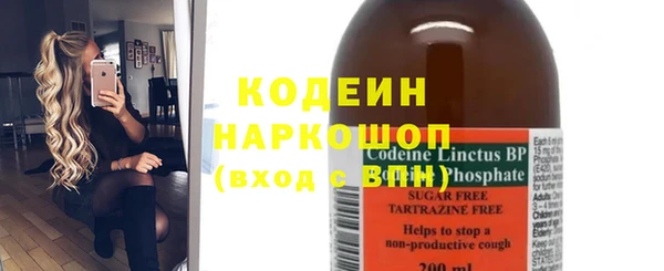 гашик Тайга
