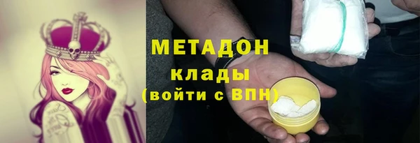 гашик Тайга