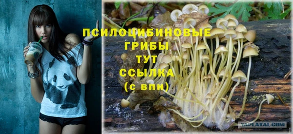 винт Тавда