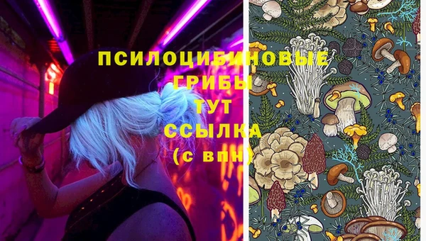 винт Тавда