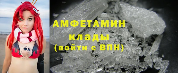 гашик Тайга