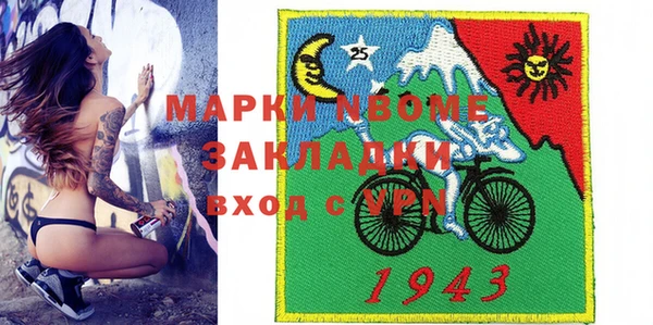 гашик Тайга