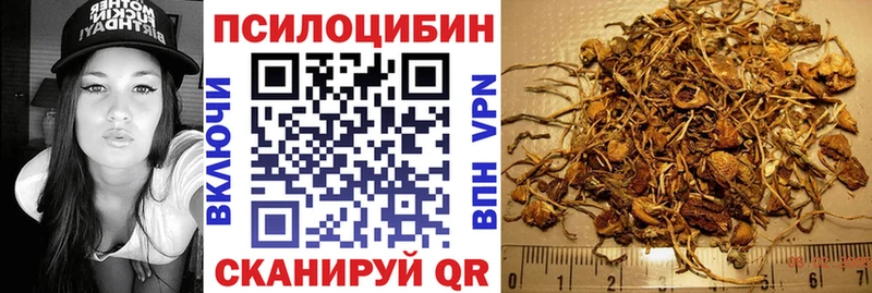Галлюциногенные грибы ЛСД  Купить  Большой Камень 
